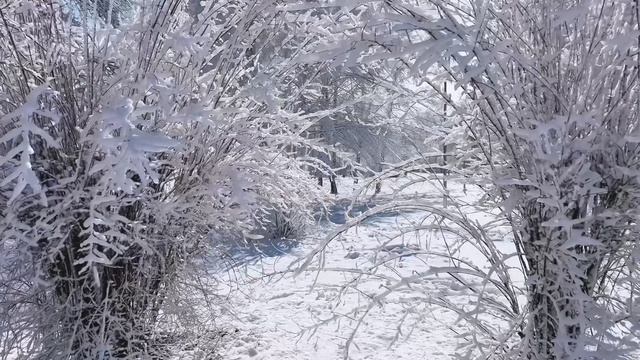 Переменчивый март