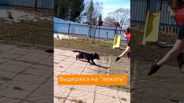 14-04-2025 Айна, Якутенок