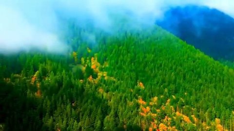 фантастические красивые виды. 🌲