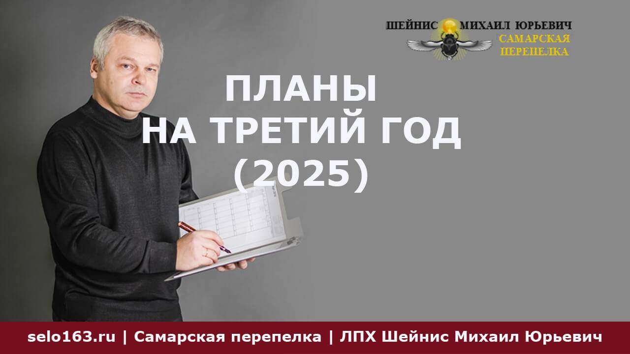 Что планируется на третий (2025) год развития проекта Самарская перепелка