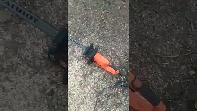 спилил во дворе дерево орех