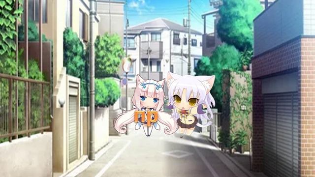 "Хозяийка и кот"