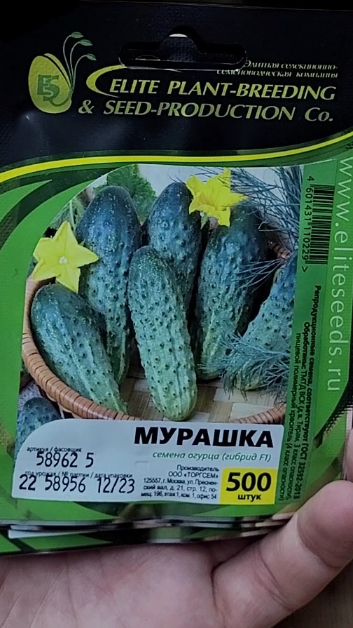 Рассада на продажу