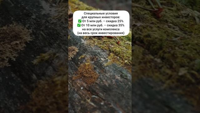 Villa Решма ищет инвесторов
