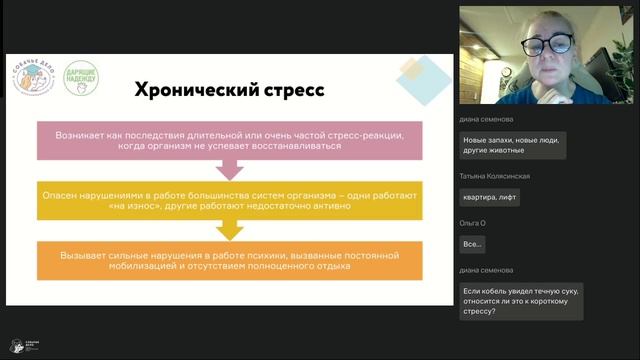Приютские истории 1