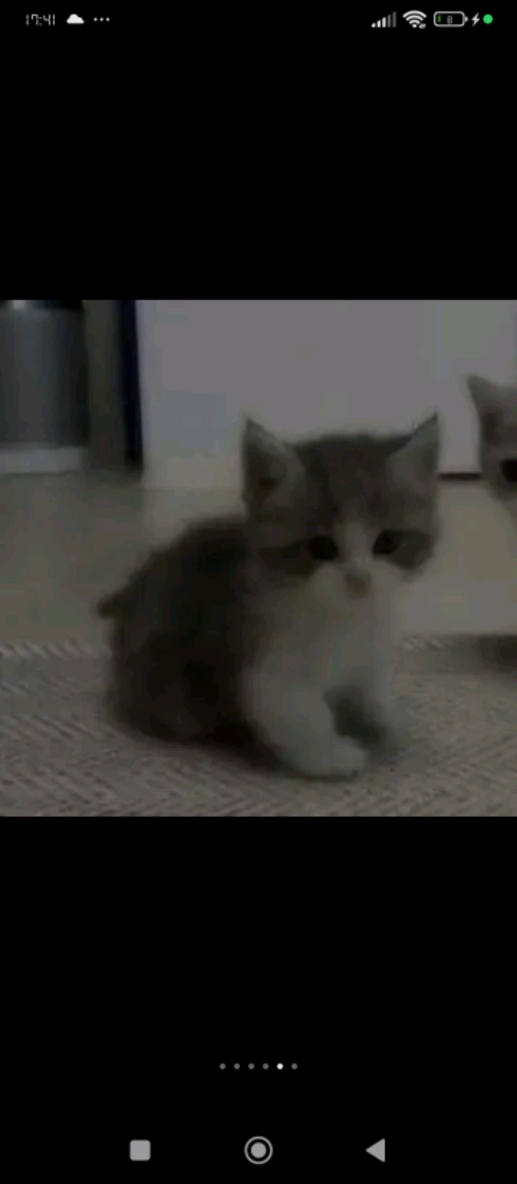 янекто