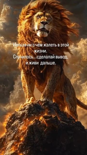 Правда