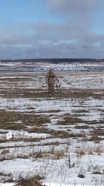 Весенние цветы, охота гусь 2025