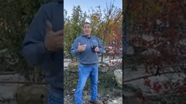 Fall Interest Trees, Shrubs and Perennials!