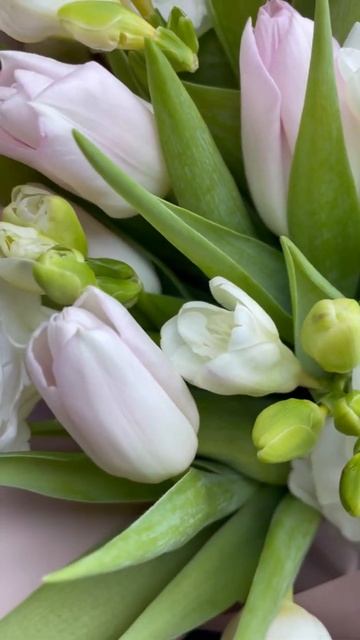 Spring bouquet | Весняний букет | Весенний букет