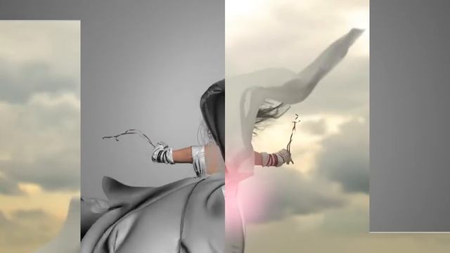 Художник и Режиссер - Раду Драган