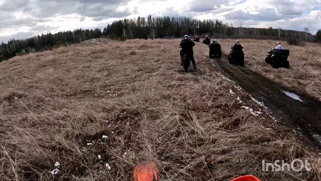 Ёжики в пути)