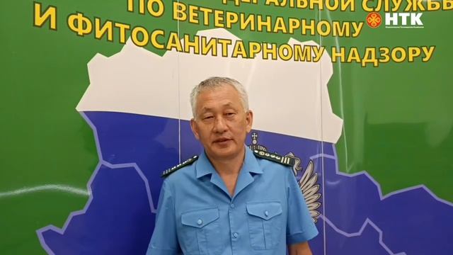 Работа дронов в Республике Калмыкия