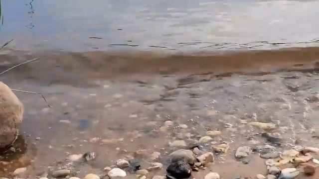 мой вебинар