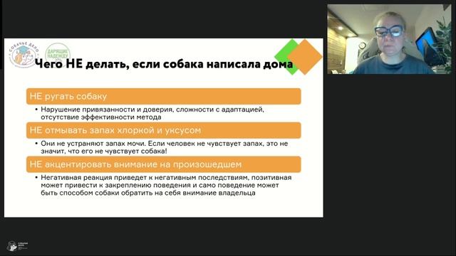 Приютские истории2
