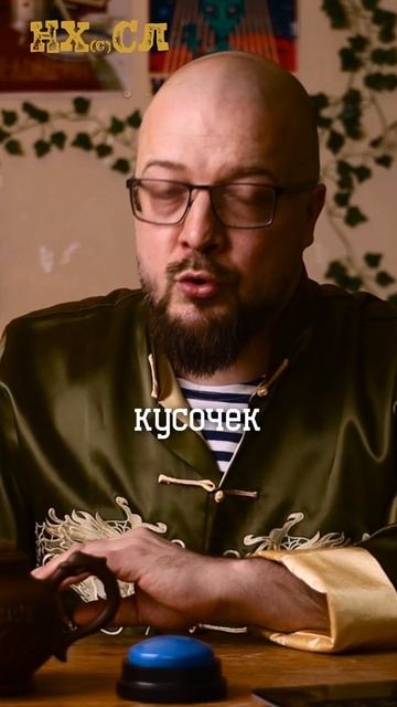 Откуда взялись чихуахуа #shorts #нхсл