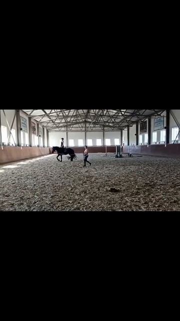 в первый раз села на неё) замечательная девочка #конныйспорт #заездка #молодаялошадь#конюшня