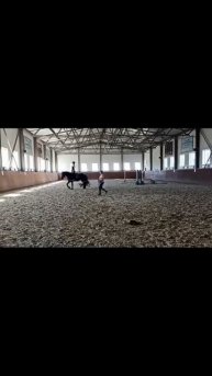 в первый раз села на неё) замечательная девочка #конныйспорт #заездка #молодаялошадь#конюшня