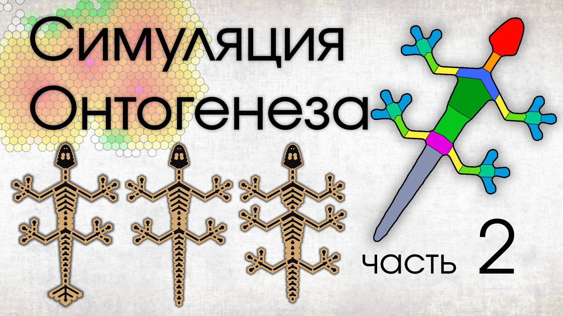 Симуляция Онтогенеза. . Часть 2,  HOX-гены