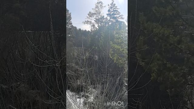 с. Карпысак, Тогучинский район, Новосибирская область