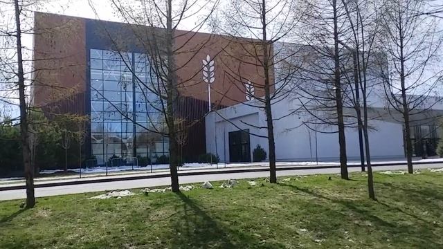 Старые здания Тимирязевки.