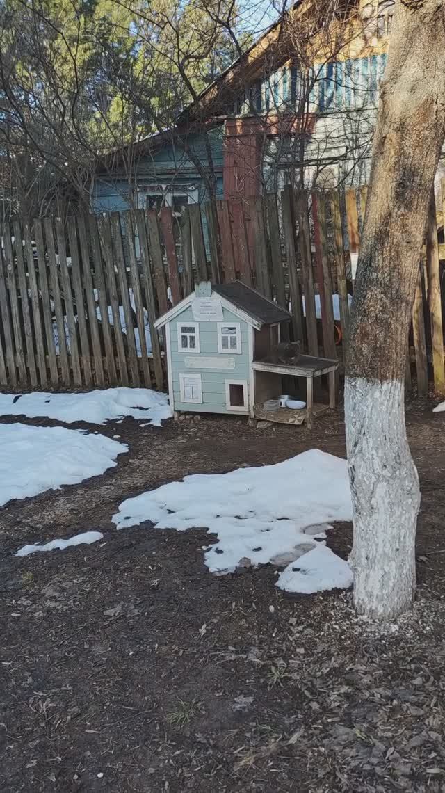 Кошкин дом