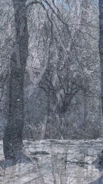 Последнее дыхание зимы