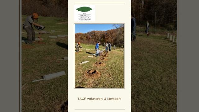 Submit your public comments to USDA to support American chestnut restoration