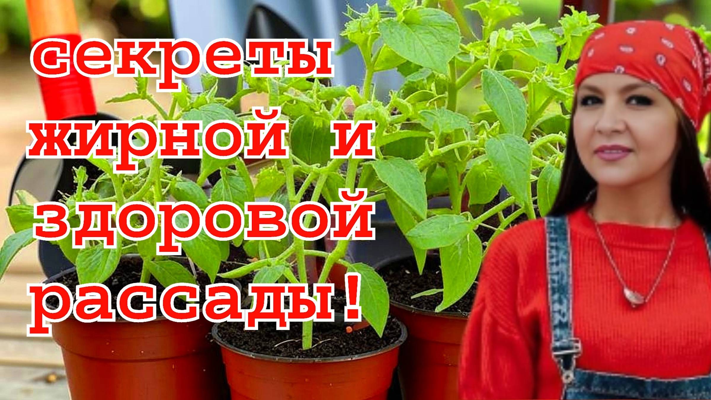 🌱 Хотите узнать, как быстро превратить хилую рассаду в мощные побеги?