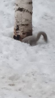 белки