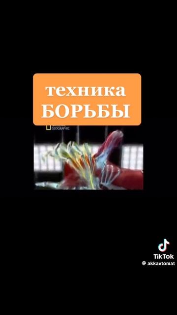 1000043797.mp4