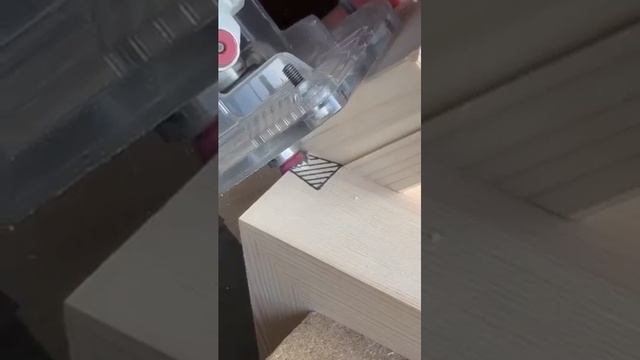 Ласточкин Хвост (v.3)