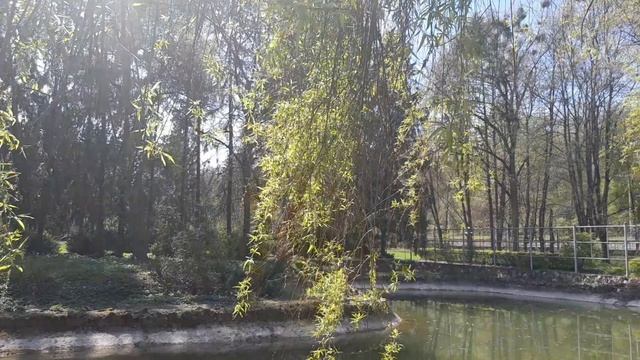 Ботанический сад Нальчика.13.04.2025
