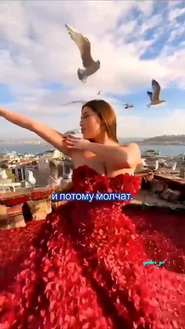 Цитаты,Которые Стоит Увидеть.