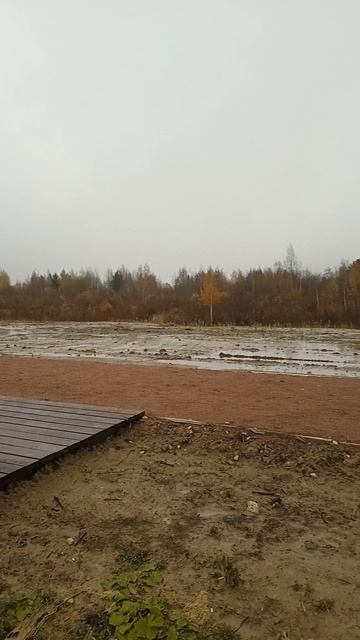 05.11.23, Арена, РП, Турнир Мясорубка