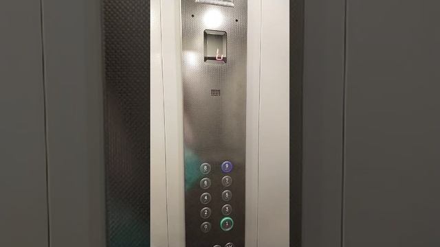 11524305
