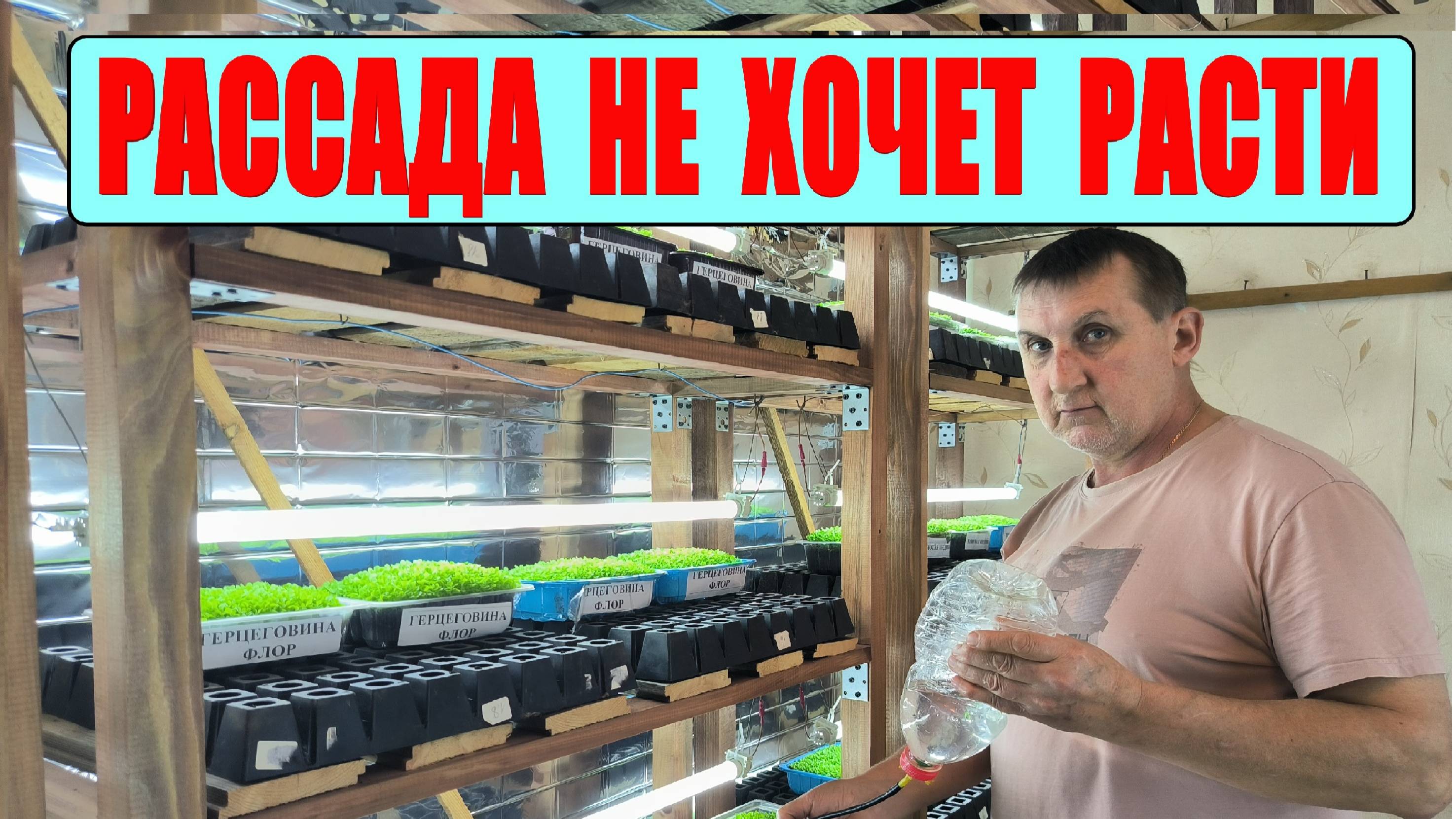 РАССАДА ТАБАКА не хочет расти. Что-то с этим надо делать. Отправляем посылки. Наша ЖИЗНЬ В ДЕРЕВНЕ.