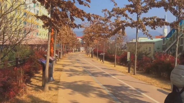 Железная дорога 🛤 | Тэгу | life in Korea