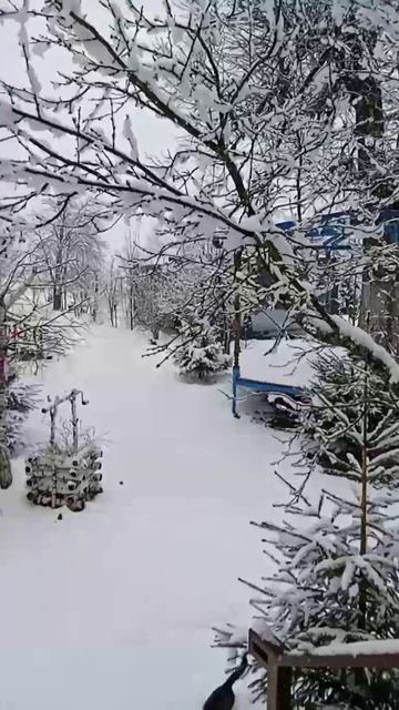 Город Солнца МаЭД Митроград в снегу ждёт весны во Владимирской обл. Галина Белаш. Мир Универсологии