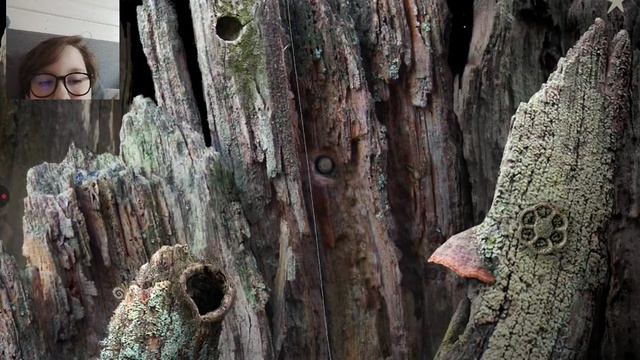 МАКСИМ ИГРАЕТ В SAMOROST 1