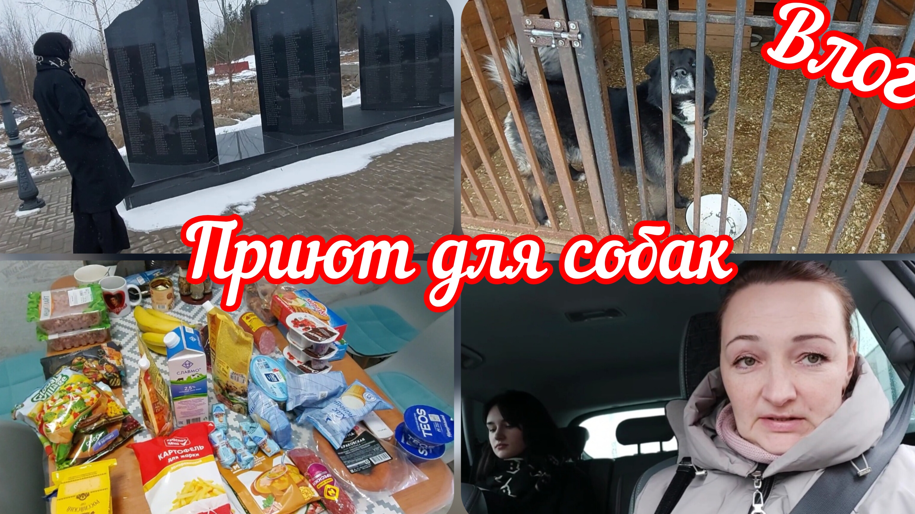 📽Повелись на скидки🤦♀️Навестили приют для собак💥Любимые выходные #реальнаяжизнь