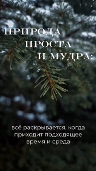 В бизнесе работает тот же принцип