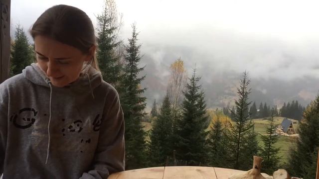 Осенние грибы в Карпатах 2020