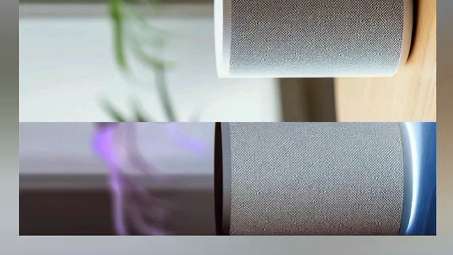 1000052813.mp4