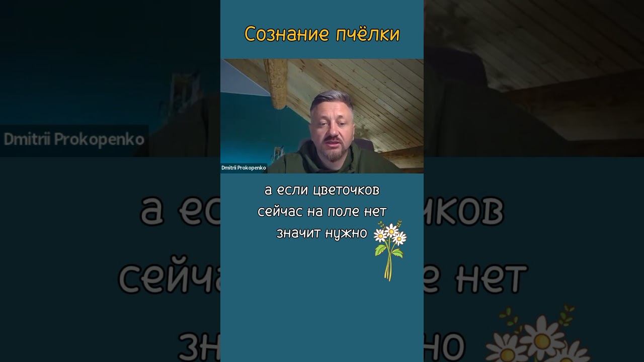 СОЗНАНИЕ ПЧЁЛКИ | Дмитрий Прокопенко | #prokopenkoda #заработок #онлайн #эксперт #наставник