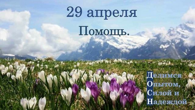 29 апреля. Помощь.