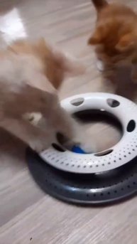 1000024905.mp4