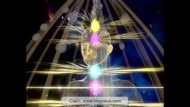 Приглашение на Фазу XIII методики EMF Balancing Technique