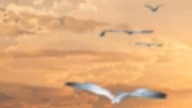 Ярослав Сумишевский и Shaman - _Там,где клён шумит..._