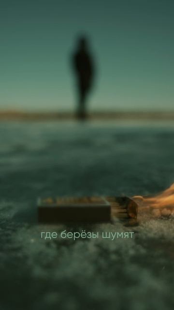 Там моя душа, где березы шумят